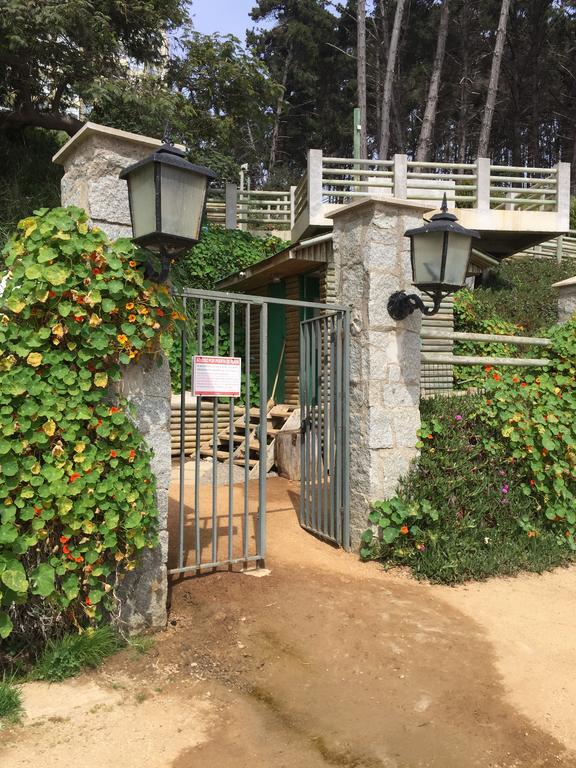 Departamento En La Playa * Algarrobo