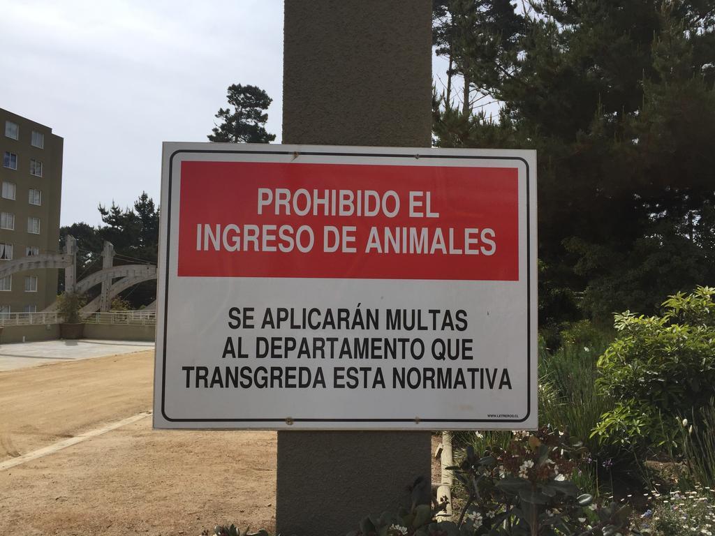 Apartamento Departamento En La Playa